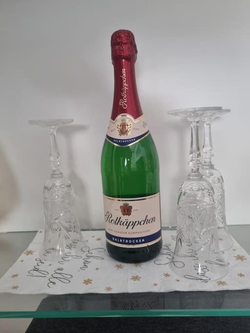 Ferienwohnung *Zur Weinbergstrasse* Lauta 外观 照片
