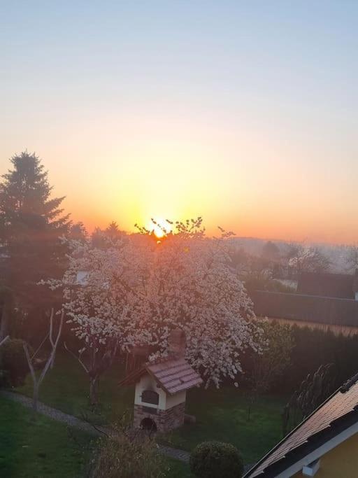 Ferienwohnung *Zur Weinbergstrasse* Lauta 外观 照片