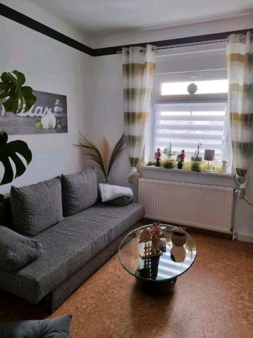 Ferienwohnung *Zur Weinbergstrasse* Lauta 外观 照片