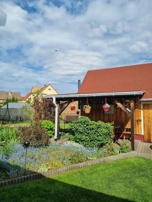 Ferienwohnung *Zur Weinbergstrasse* Lauta 外观 照片
