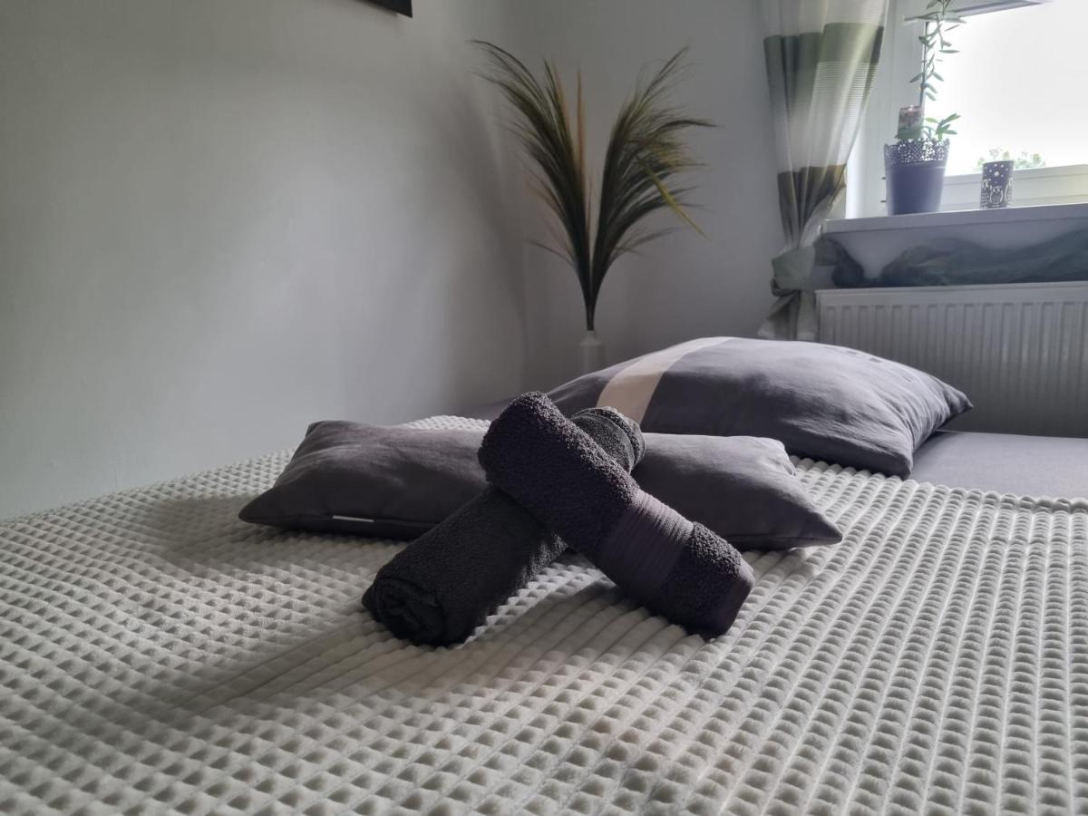 Ferienwohnung *Zur Weinbergstrasse* Lauta 外观 照片