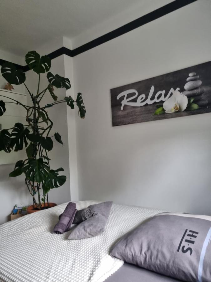 Ferienwohnung *Zur Weinbergstrasse* Lauta 外观 照片