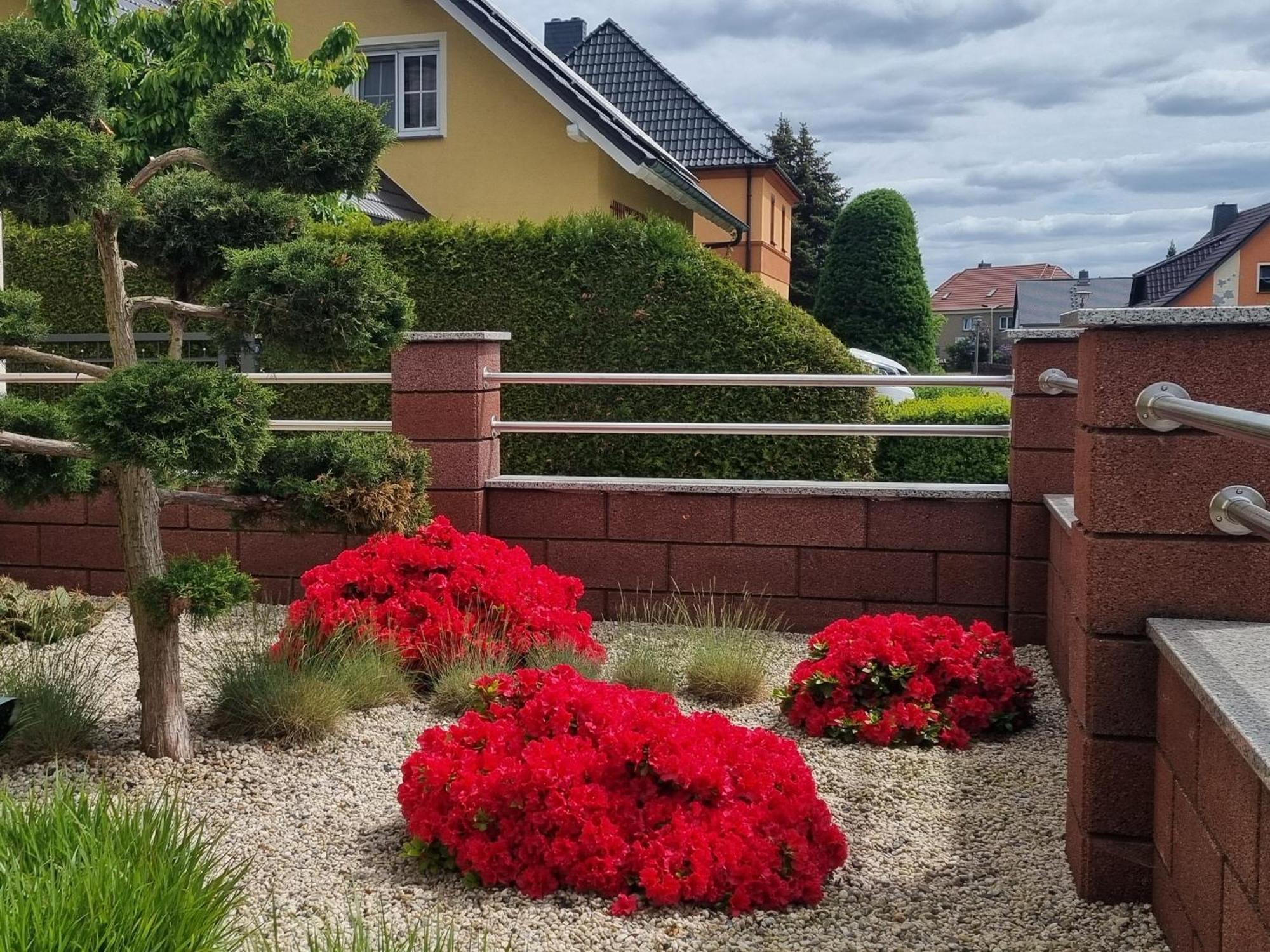 Ferienwohnung *Zur Weinbergstrasse* Lauta 外观 照片